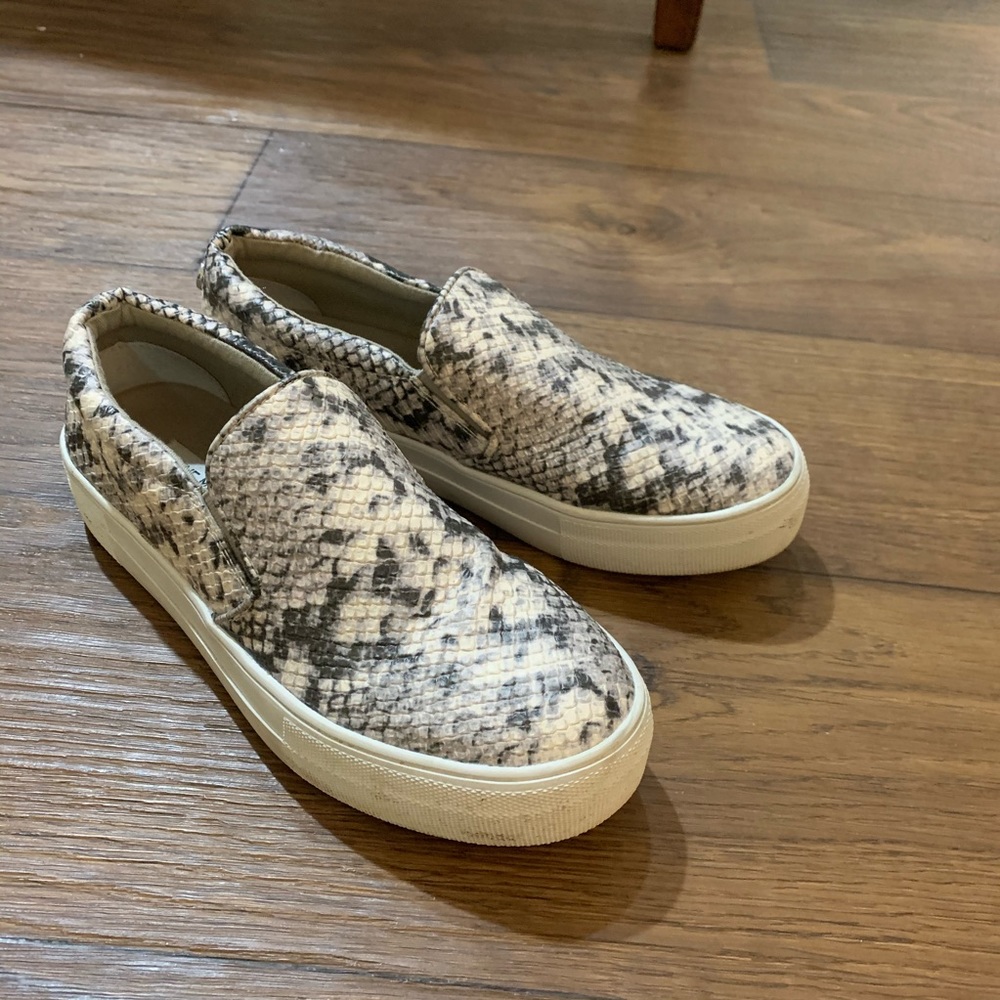 Steve Madden Sneakers